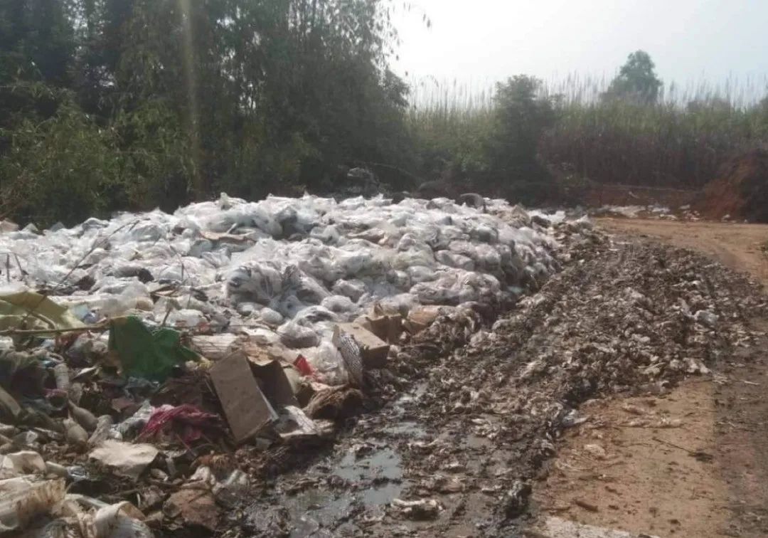 缅甸香蕉滞销怎么解决,为什么香蕉价格一直不好