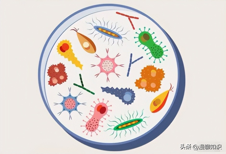 生物膜有害吗,生物膜有什么用