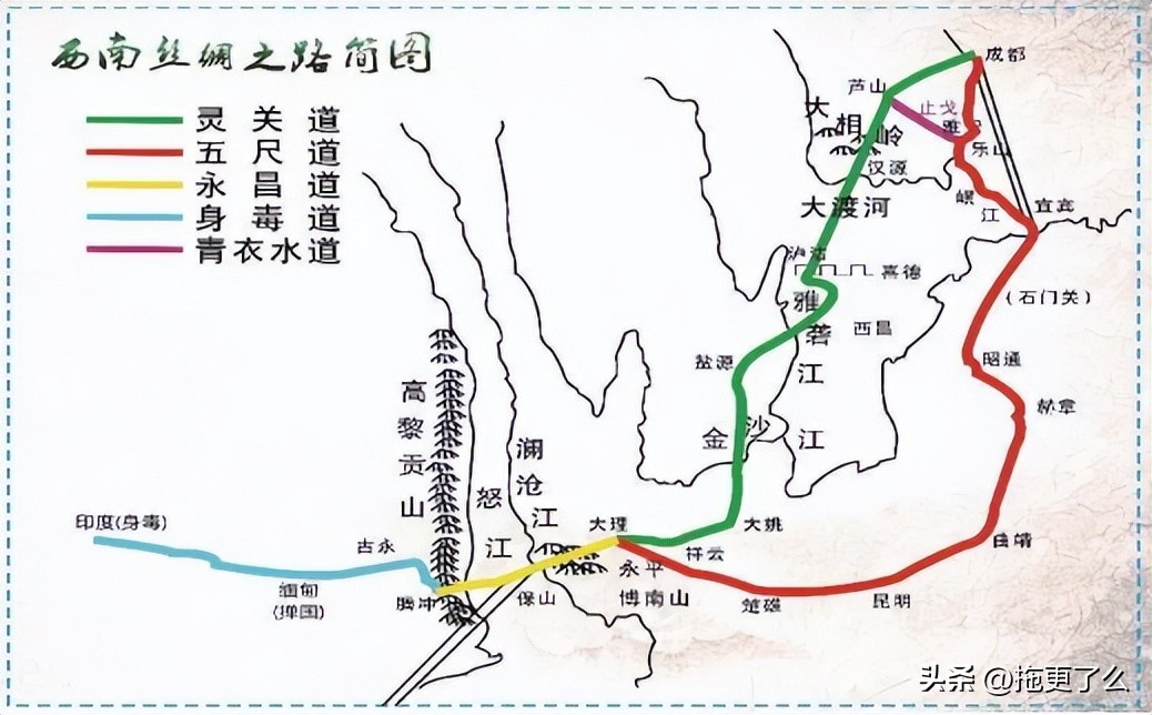 缅北训狗场女性被救,缅北训狗真实事件