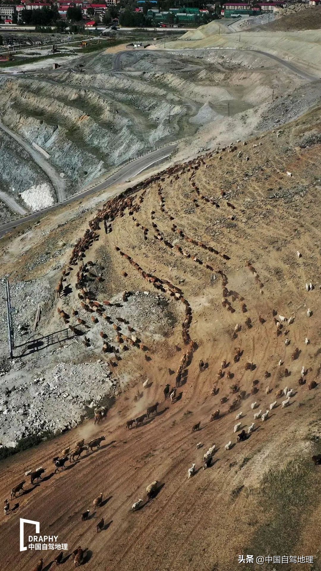 横跨中国北境的孤勇者之路，接力G219，荒芜与惊喜并存！