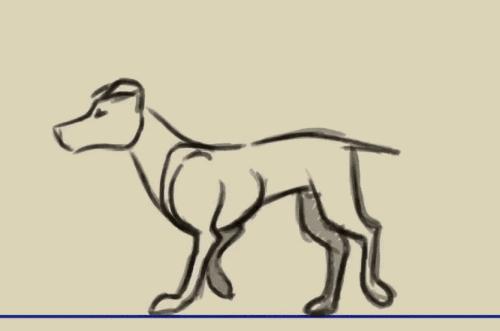 为什么马断了腿必须死,为什么马的腿一旦骨折会死呢