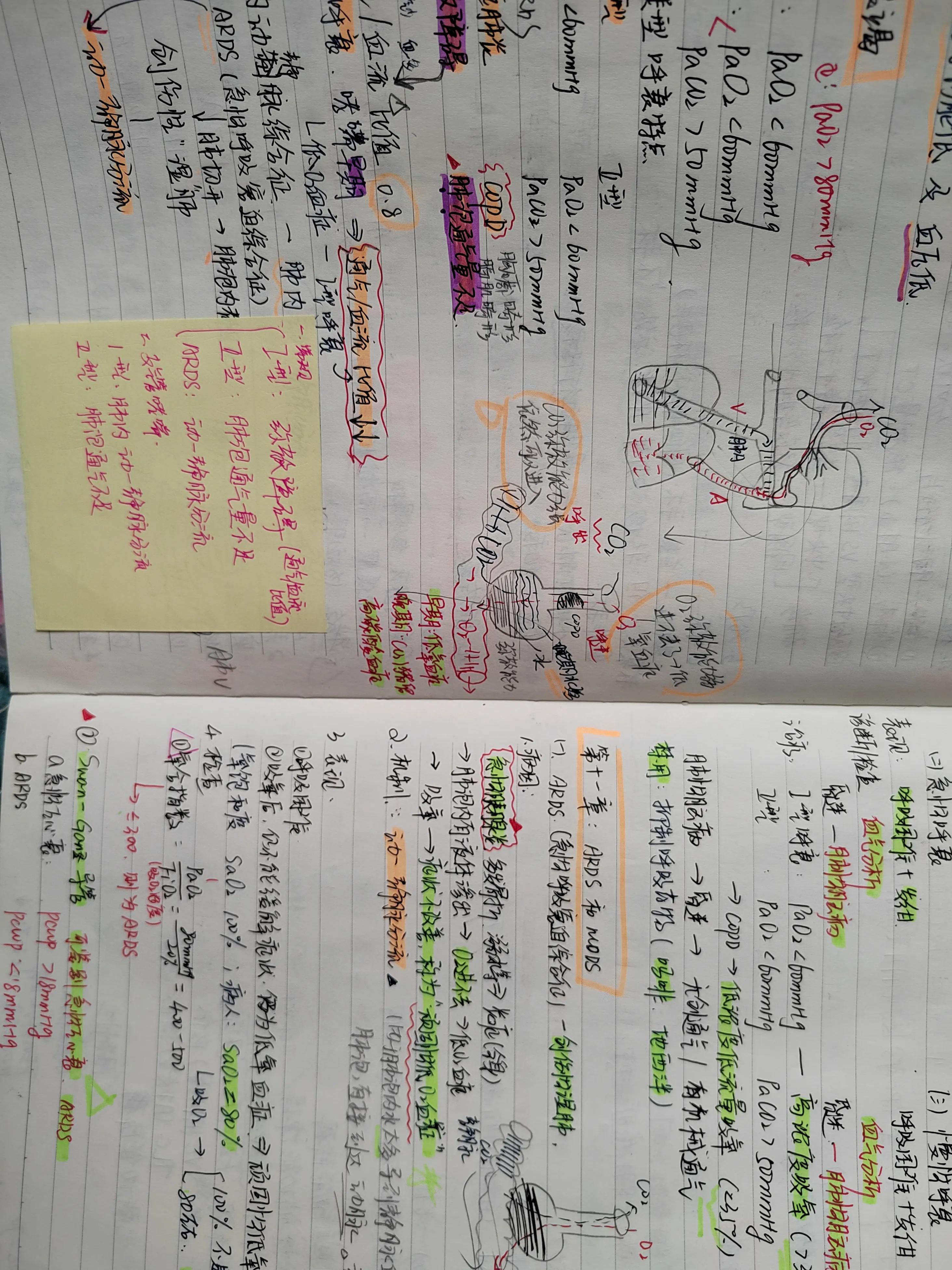 2022年中医执业助理医师考试大纲,2022年助理医师报考执业医师条件
