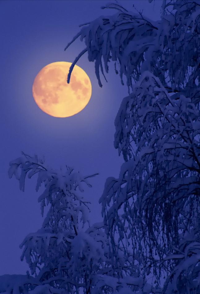 明月如霜好风如水清景无限赏析,明月如霜好风如水清景无限出处