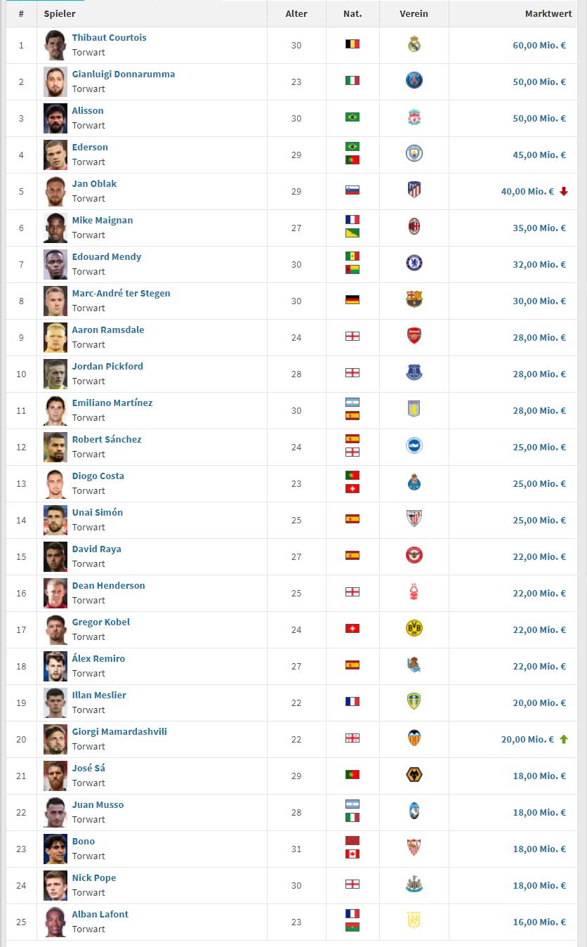 卡塔尔世界杯门将十大排名,卡塔尔世界杯各队门将排名