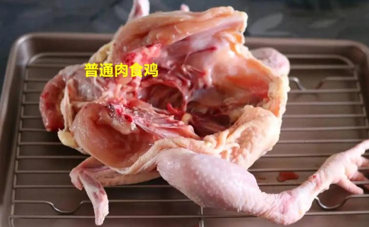 家里杀鸡时，鸡肚里有一块黄油，该扔掉还是吃掉？看完长见识了