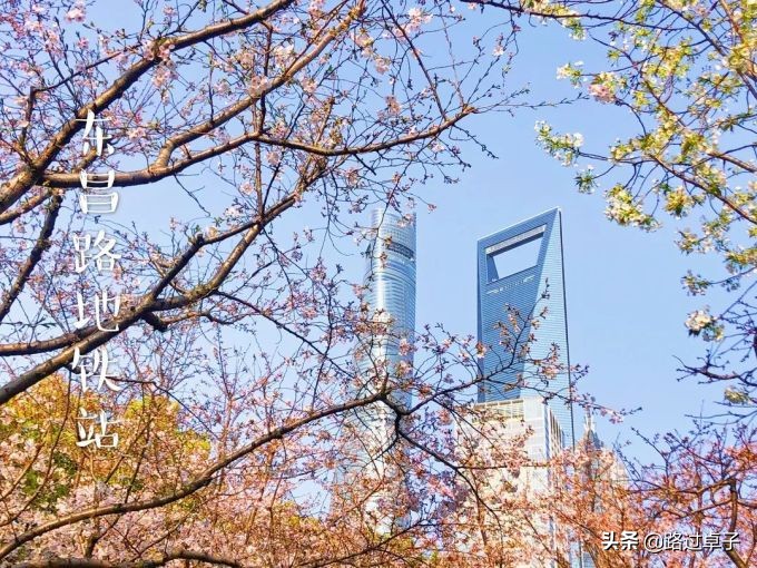 上海地铁旅游景点攻略,上海地铁打卡攻略