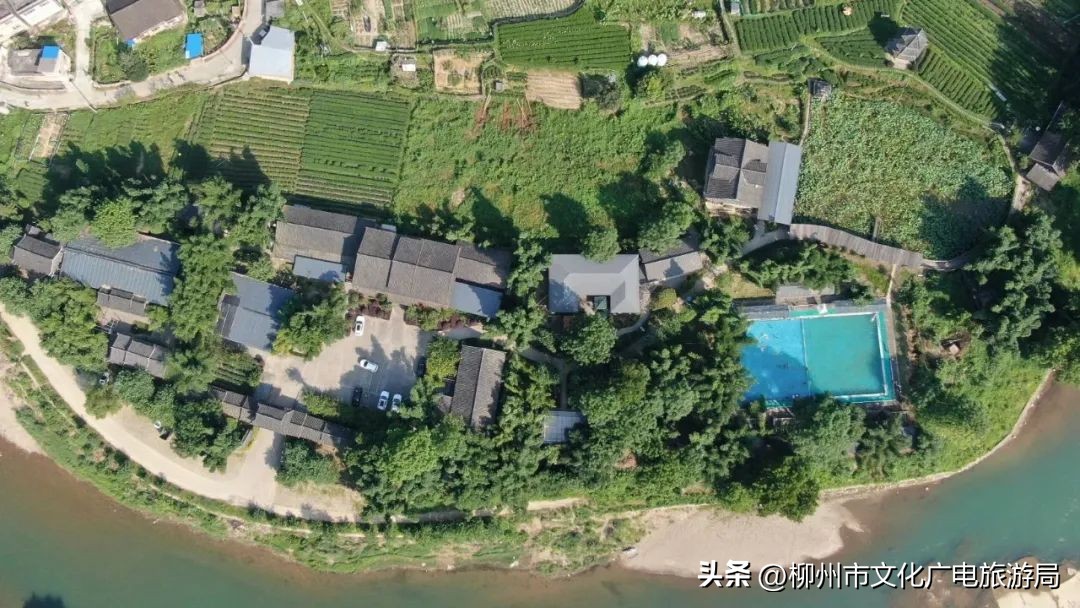 盛夏的风吹过茶园，穿过侗寨，在风情三江留恋不走~