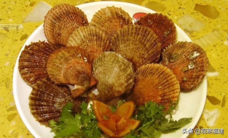 诏安秋天吃什么海鲜,福建各种海鲜图片大全