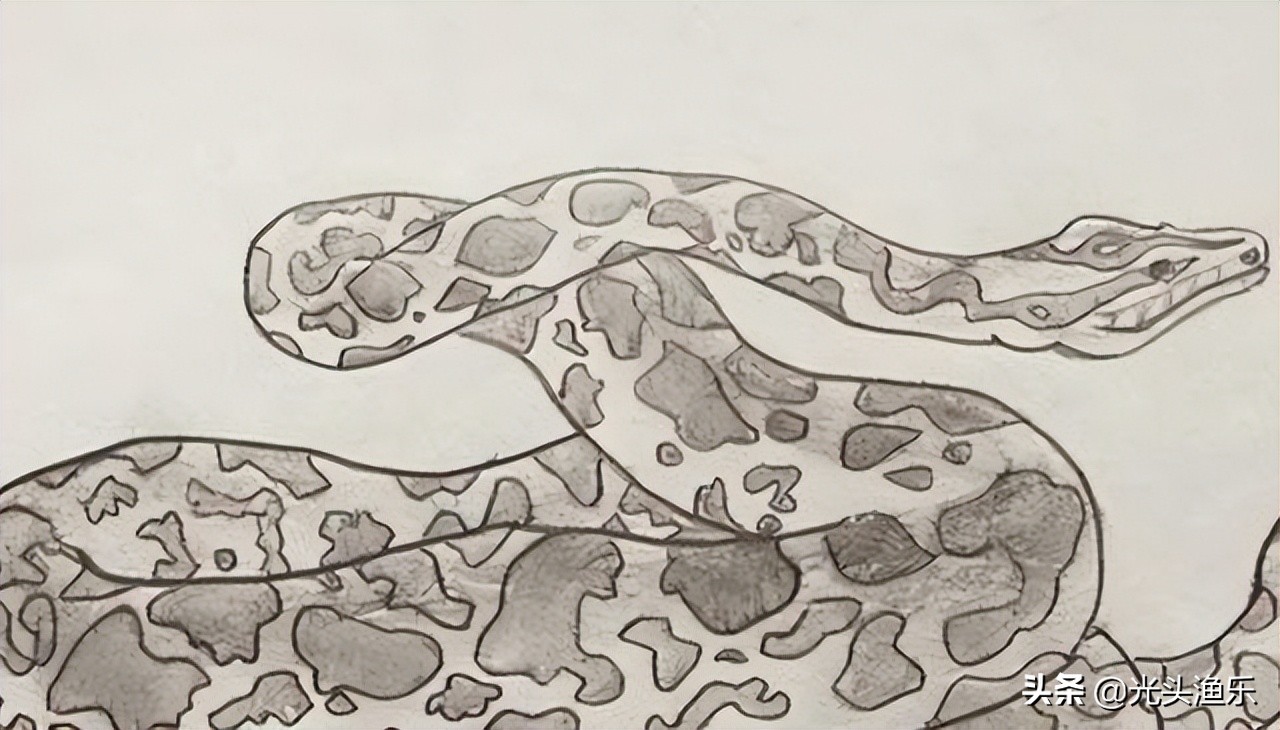 巨蛇为蟒巨蟒为蚺,大蛇为蟒大蟒为蚺什么意思