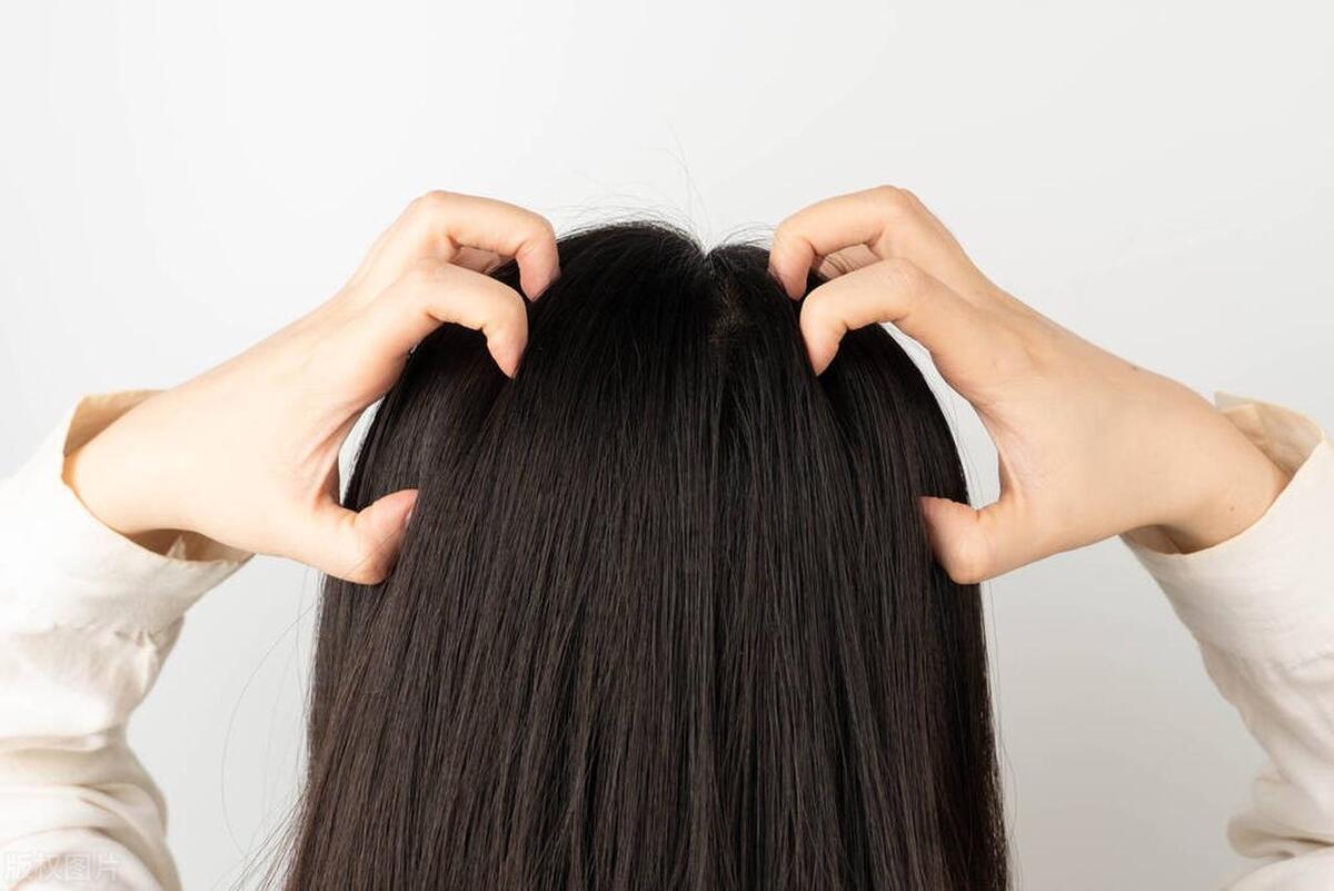 阴虱是怎么生成的为什么会长阴虱,阴虱病是怎么传播来的