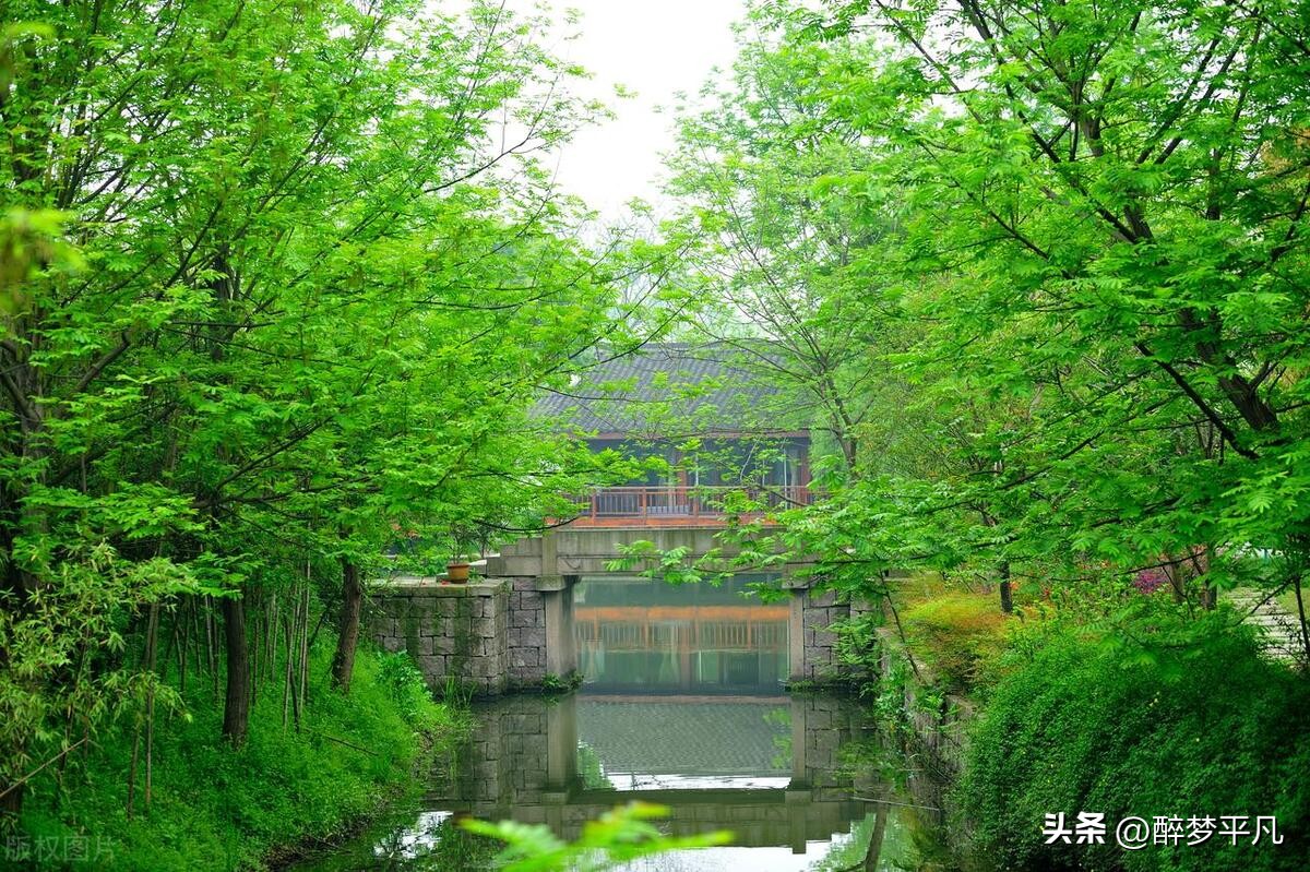 杭州西溪湿地为什么是5a,杭州国家西溪湿地