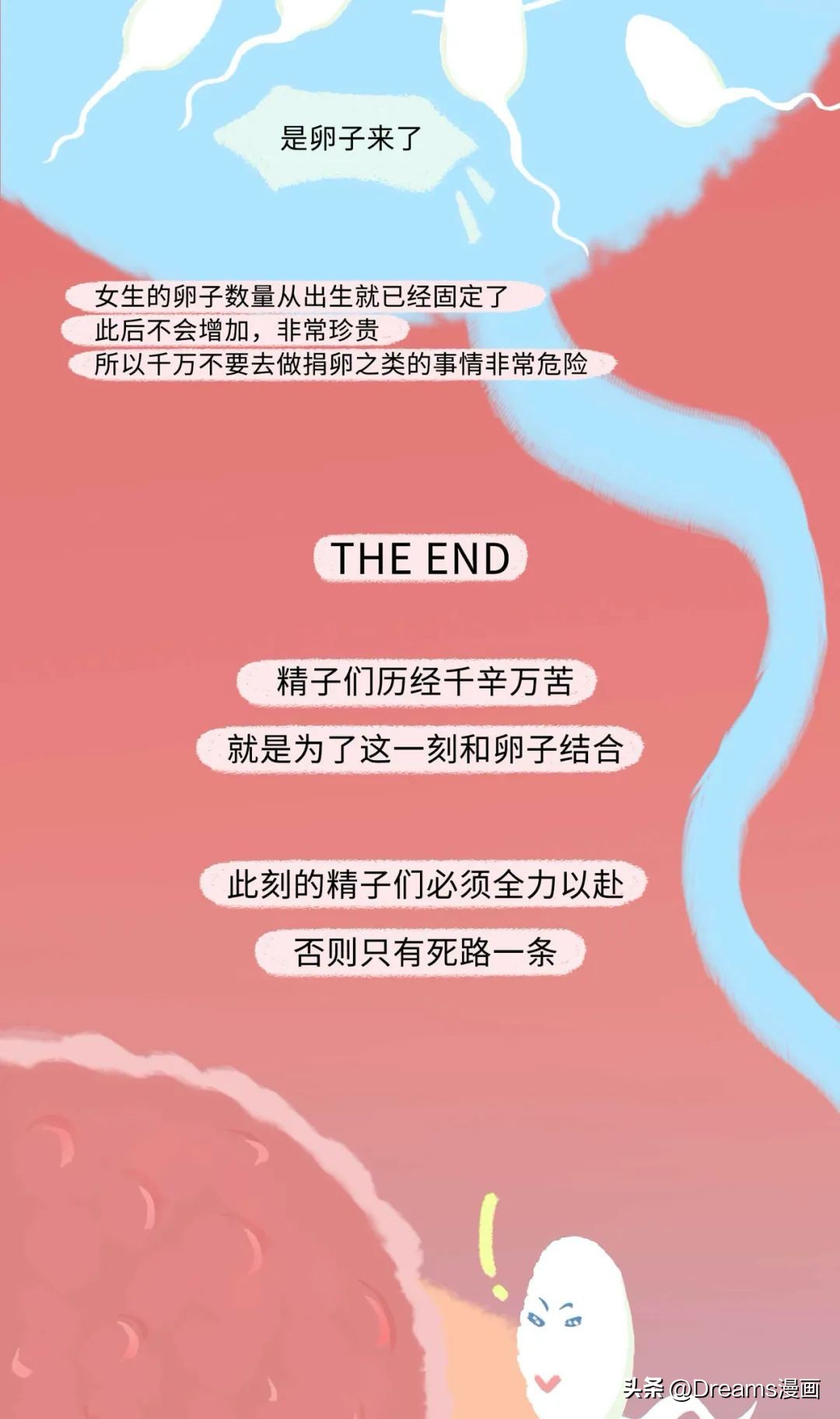 精子进入女生体内的全过程