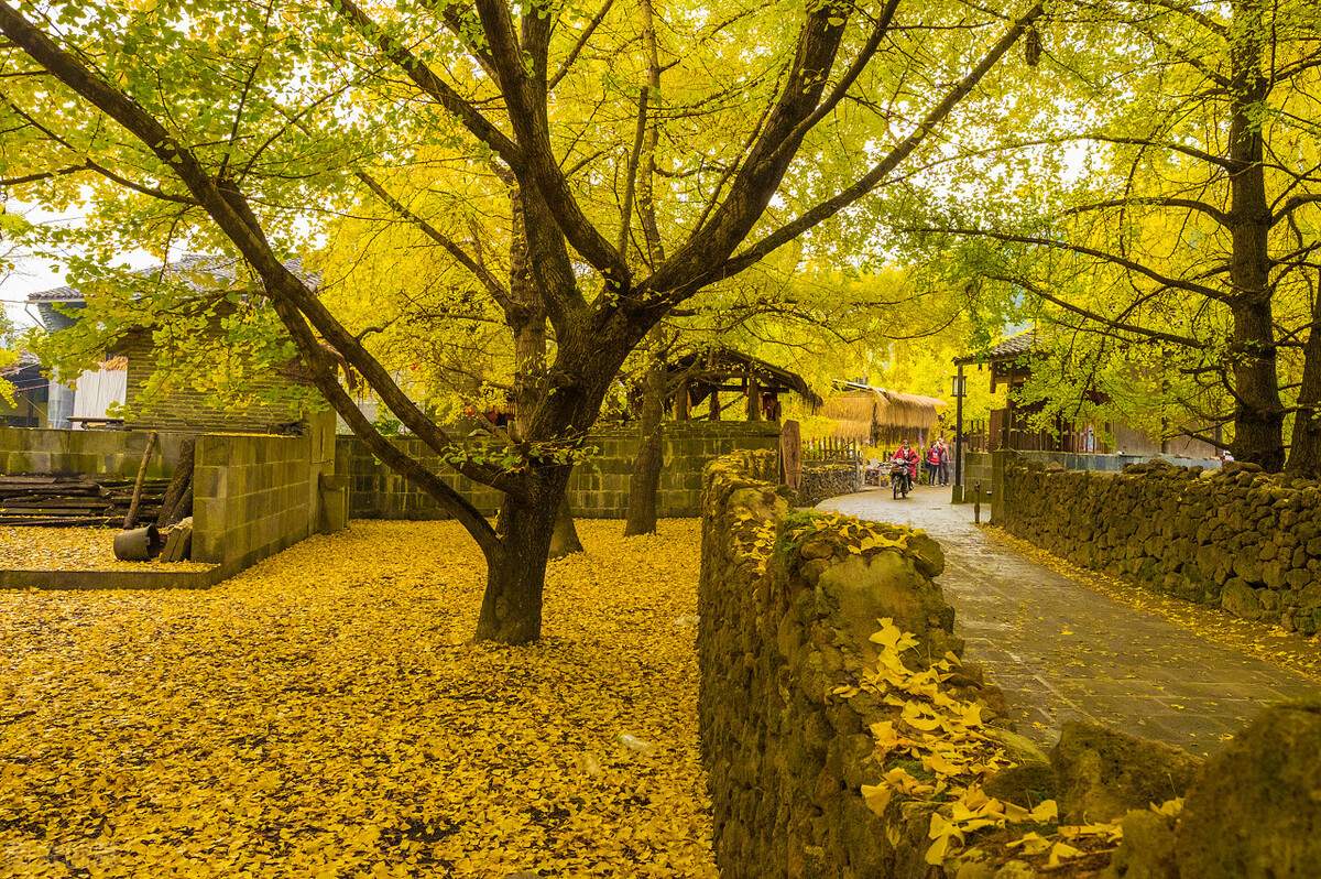 11月份去哪里玩最好玩呢,十一月份秋天适合去哪旅游国内