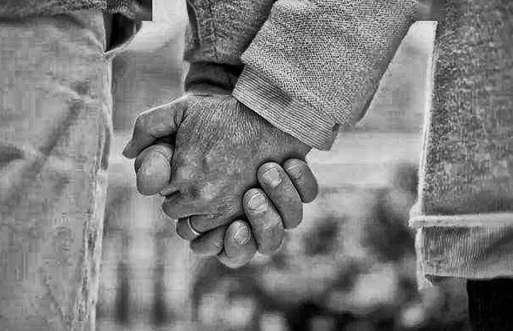 老夫老妻重返青春,老夫老妻原唱