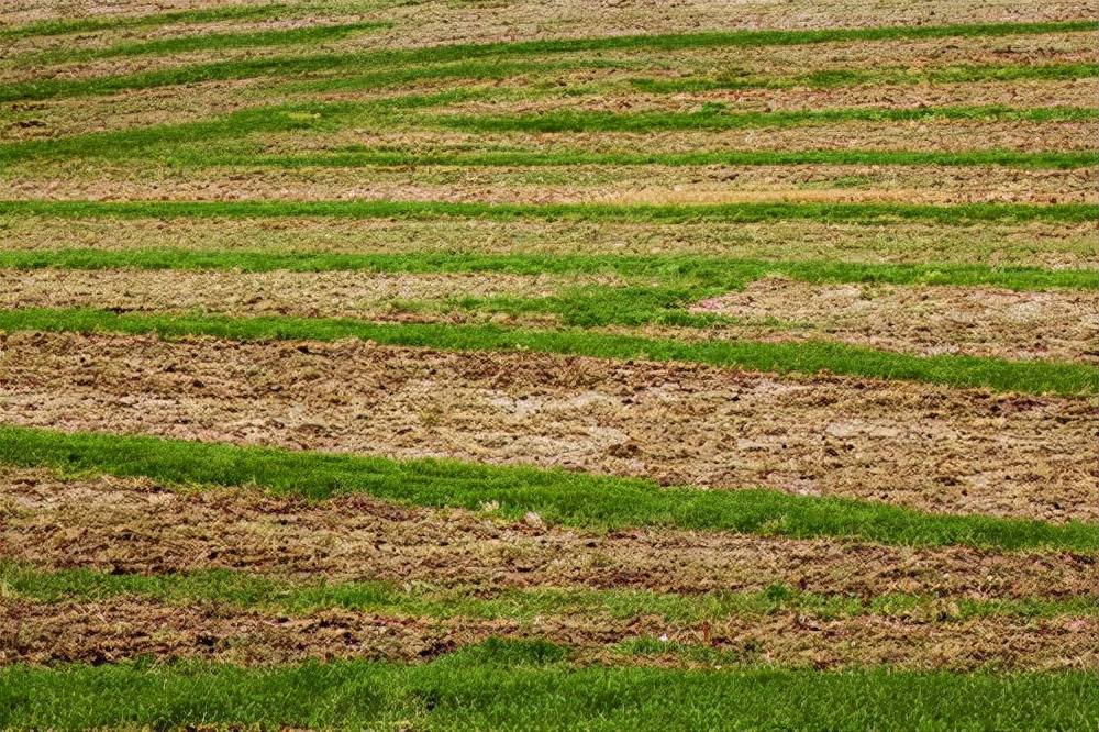 真实故事：东北一女子喝柴油“成瘾”，10年喝下数吨安然无恙