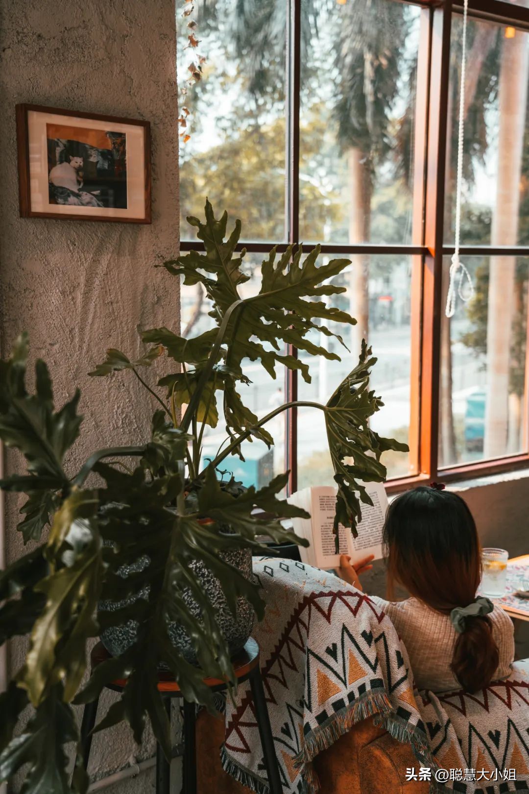 珠海被称为百岛之市浪漫之城,珠海百岛之城历史