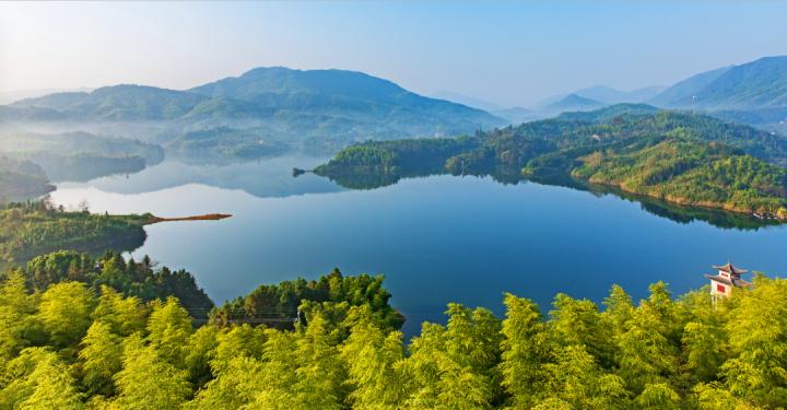 一根竹子打造一万亿产业 (一根小竹子做出大产业)