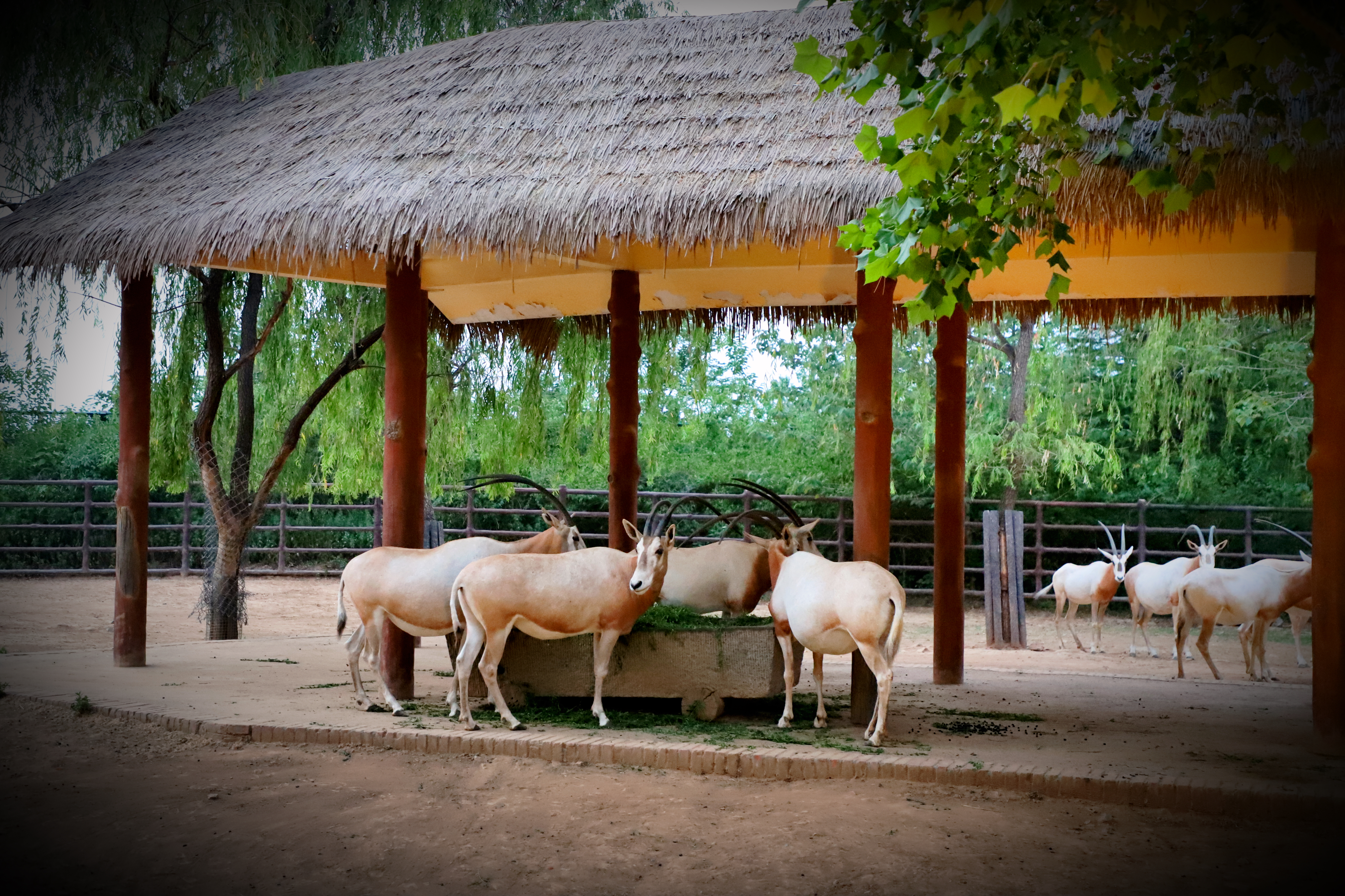 济南春天适合带孩子去的地方,济南春节亲子游