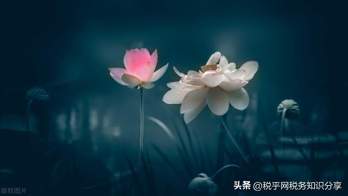 税务局关于土地增值税清算的通知,国家税务总局土地增值税清算规程