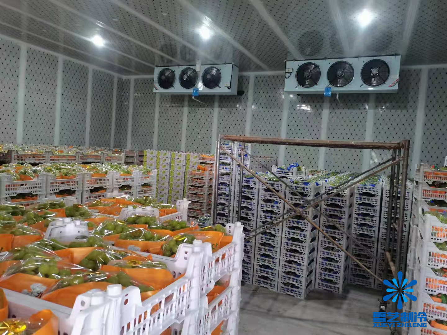 建冷库前景怎么样,做冷库有多大利润