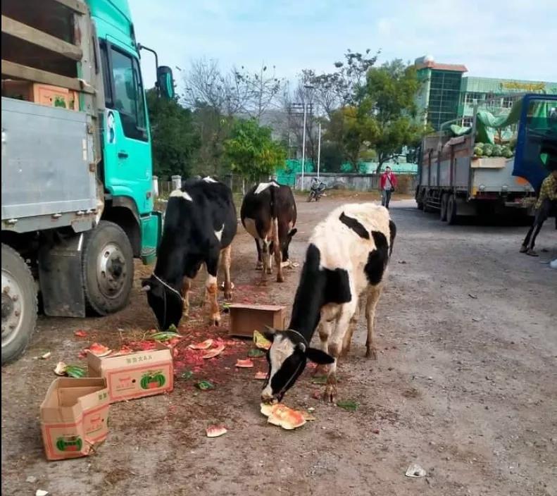 缅甸边境货物运输汽车,缅甸边境运货