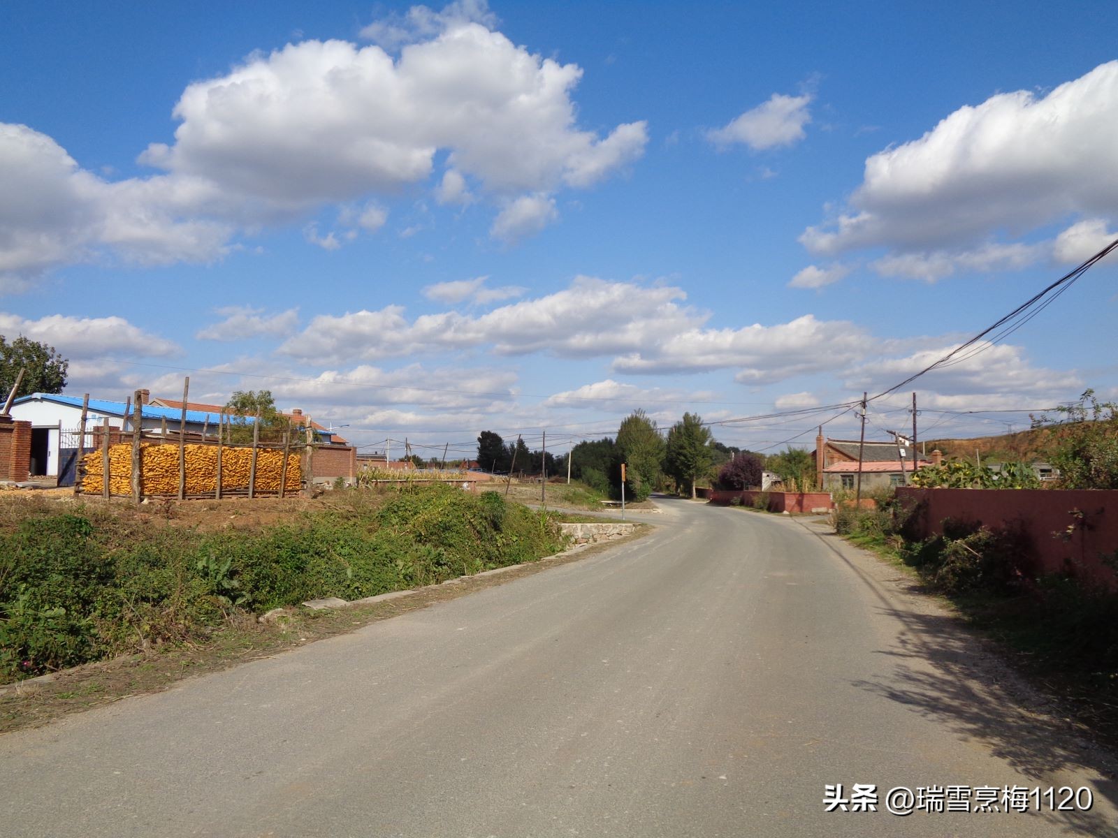 地名档案|旁新线公路沿线村庄之四：沈北新区马刚街道依路村