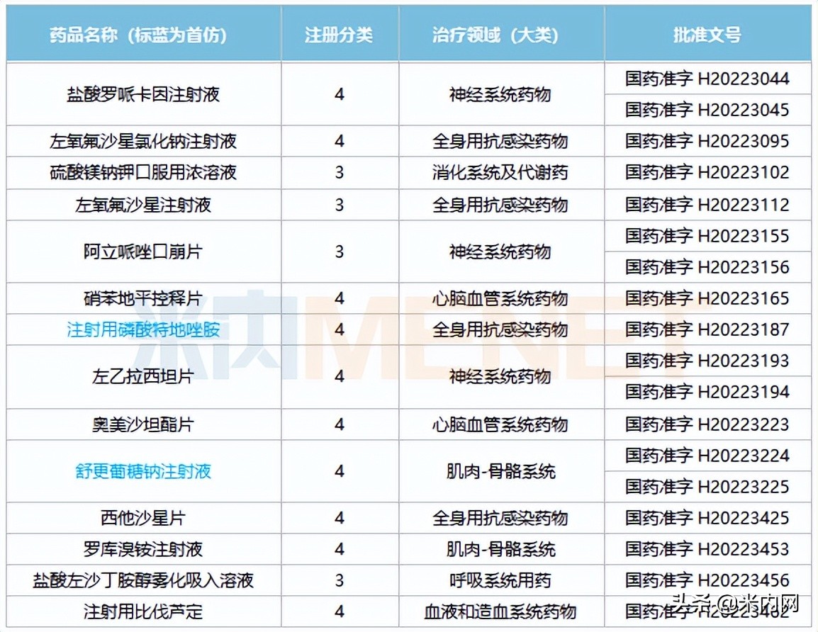 十大仿制药企,仿制药厂排名前十名