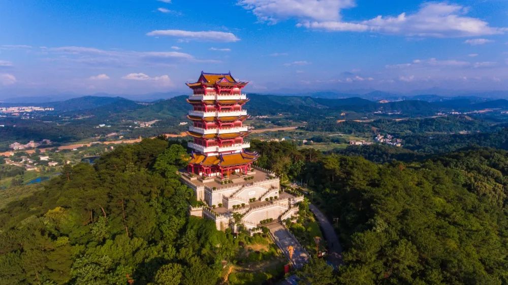 letsgo一周目图文攻略,letsgo图鉴攻略