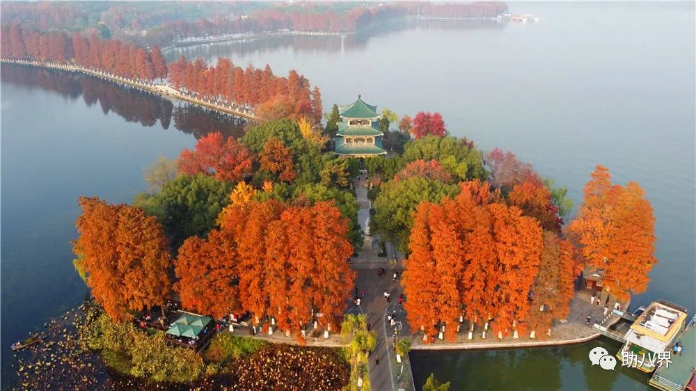 武汉十大旅游景点排名,武汉江夏网红打卡景点大全