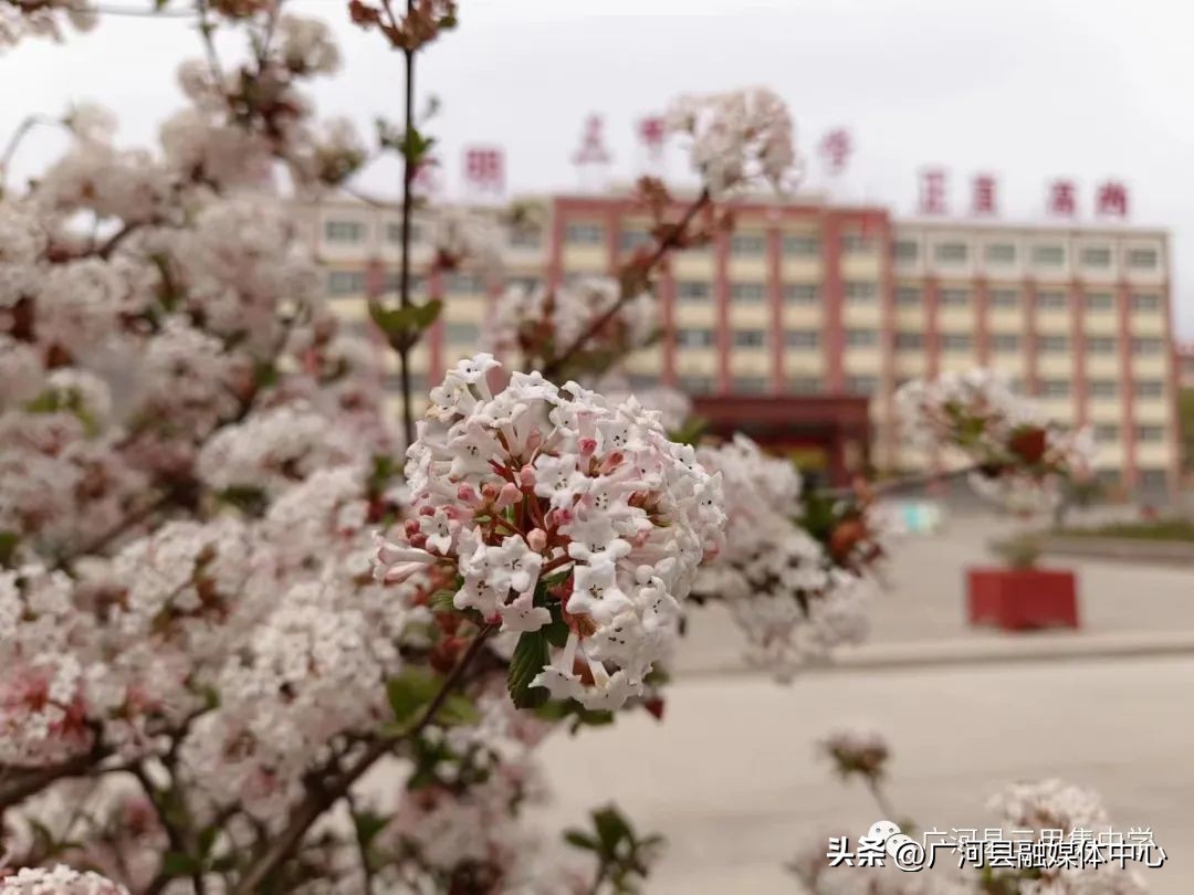 广河县三甲集中学官网,广河县三甲集高中简介