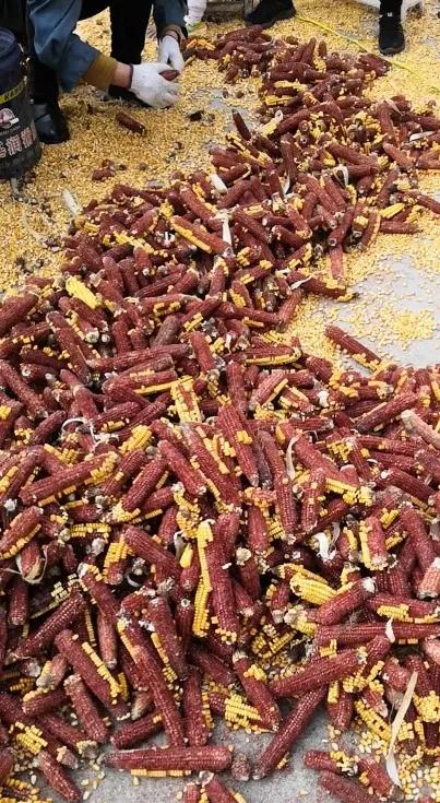 网购大件货物退货运费谁承担,网购大件退货物品损坏