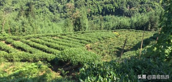 眉山市洪雅县旅游攻略路线图最新,眉山洪雅附近一日游最佳景点