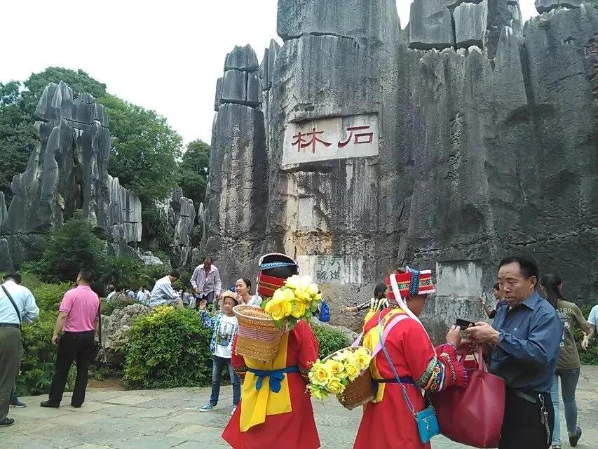 5a级喀斯特奇观石林风景区,世界最大石林地质奇观是什么