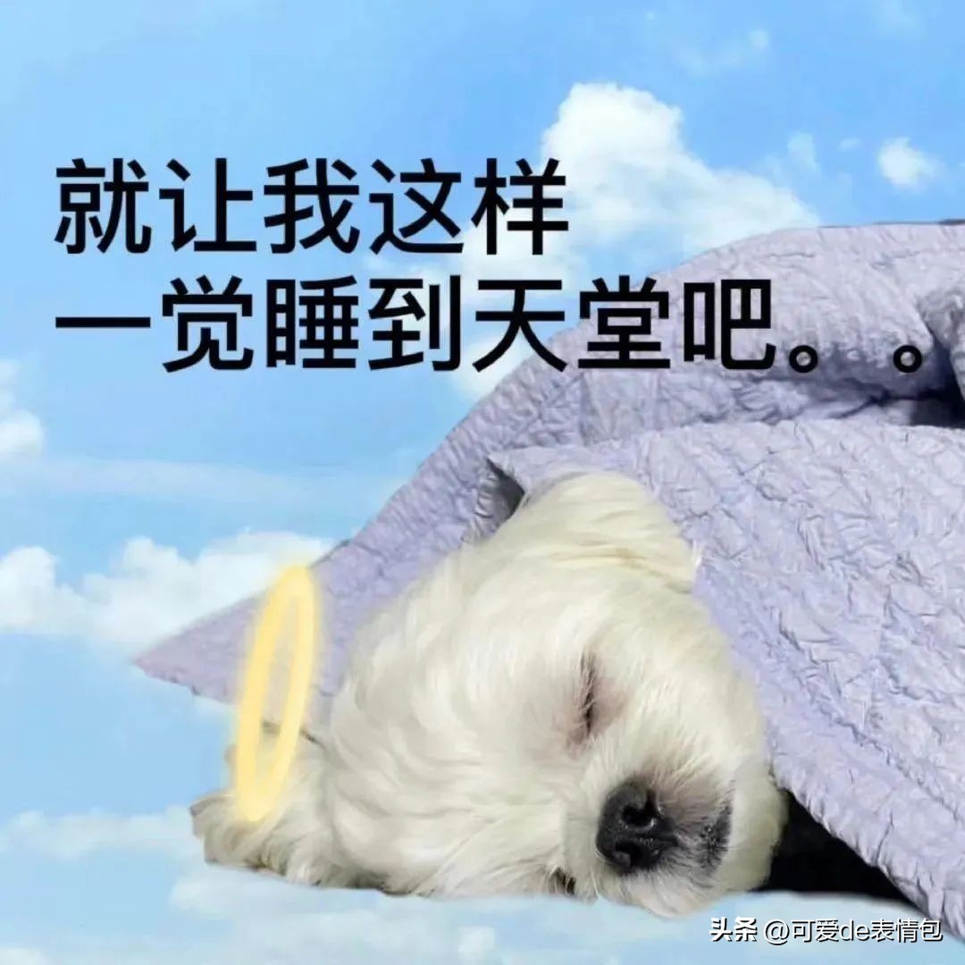 抖音黑人老嫂子搞笑表情包合集