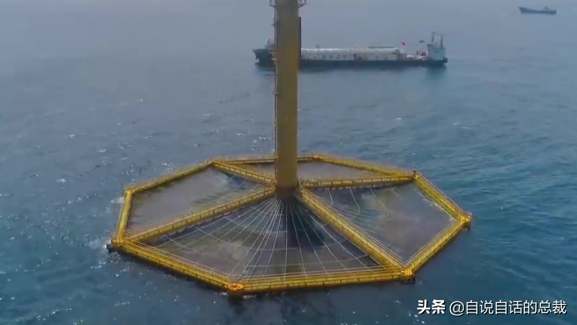 三文鱼水光真假分辨,哪种才是真正的三文鱼