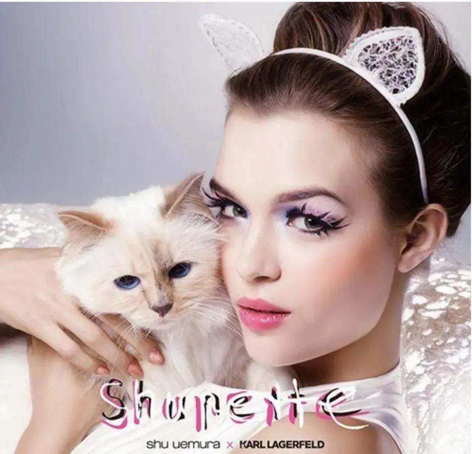 世界上最有钱的猫，坐拥21亿的财富