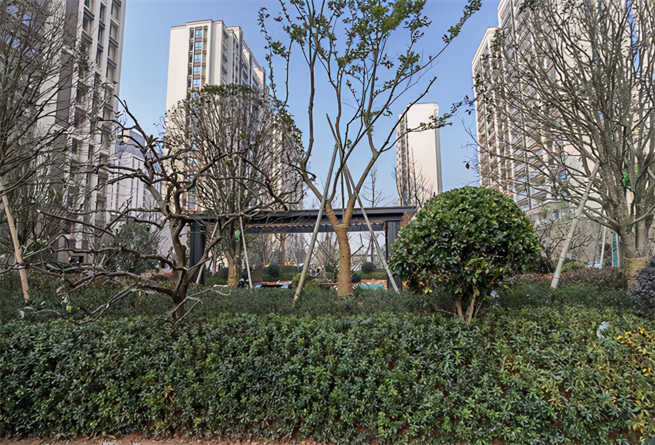 东港最值得购买的楼盘,东港未来最好的楼盘