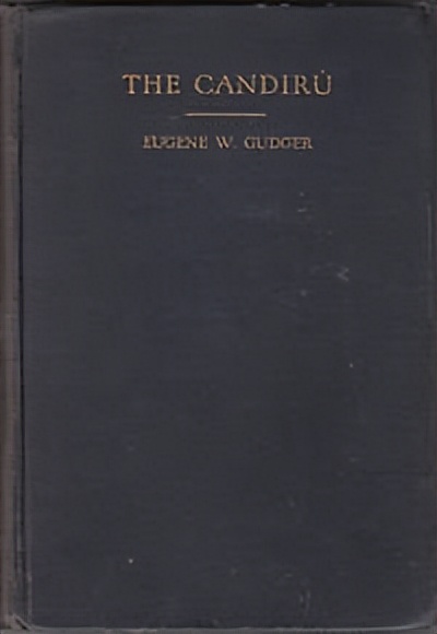 亚马逊河里有哪些特有鱼种,亚马逊河里都有什么鱼