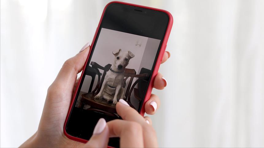 漫谈物理（第003期）——你懂手机：滑动屏幕与计步？