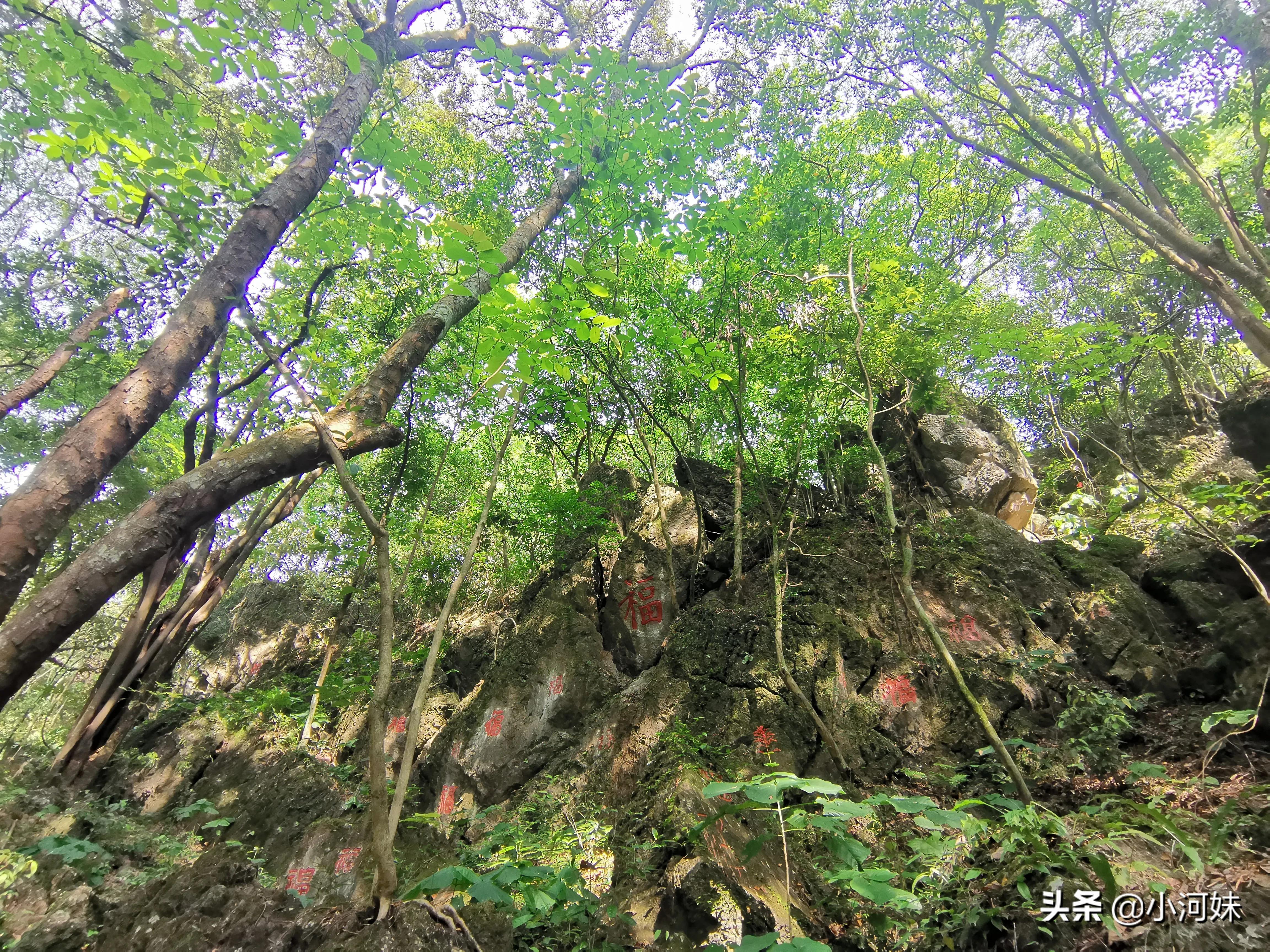 广东最有灵气的道观,广东省第一道观