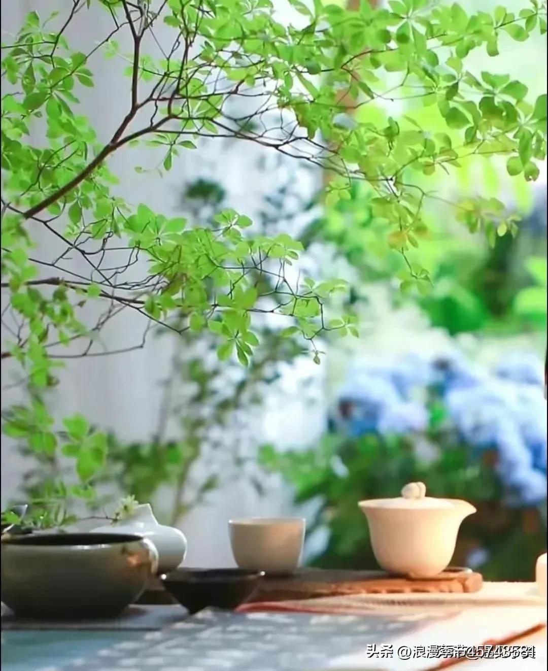 不用打字的七月再见你好八月美文,再见八月你好九月的散文