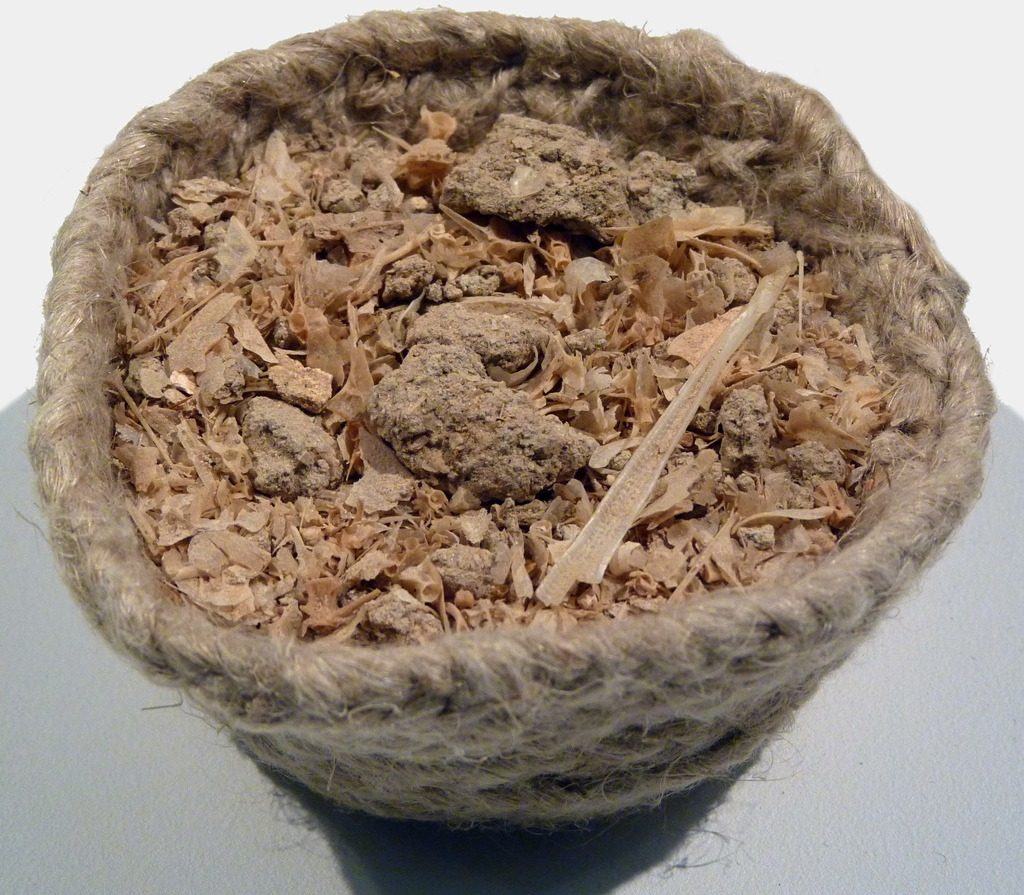 鱼油的科普文献,鱼油的科学发现