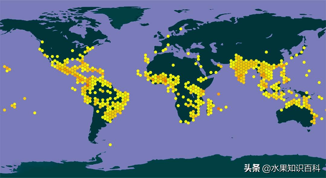 那些你不知道的冷知识,杧果和芒果的区别