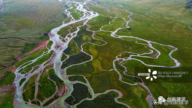 伊力特乳业始于1958年,伊力特乳业