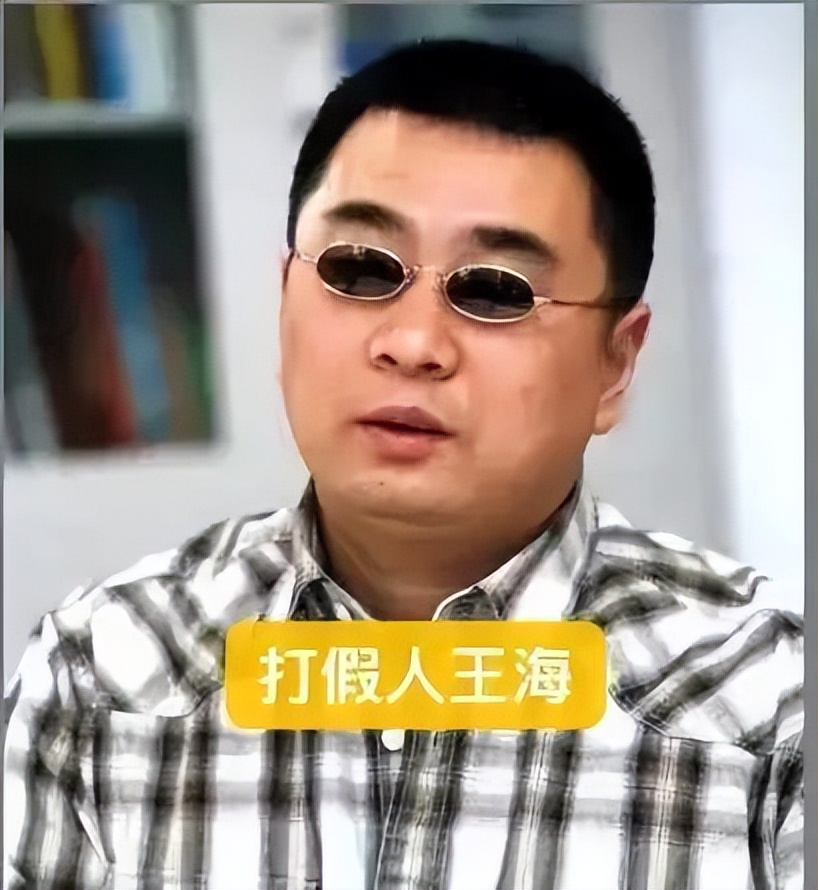 打假辛巴王海赚多少,打假辛巴的王海是谁