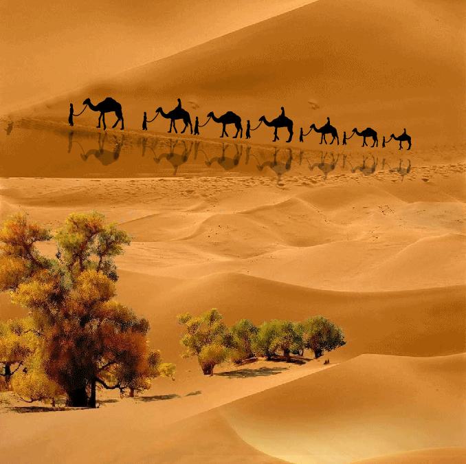 中国美食界名人,中国美食名家有哪些