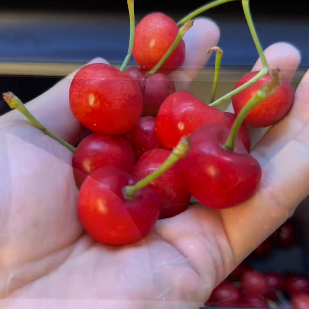 嵌入式冰箱尺寸预留,全嵌式冰箱尺寸预留