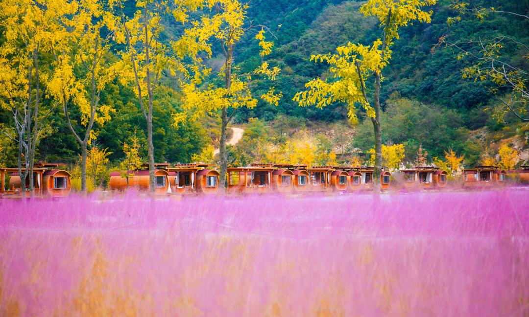 美得正当时！这个秋天，济南九如山值得你为之奔赴