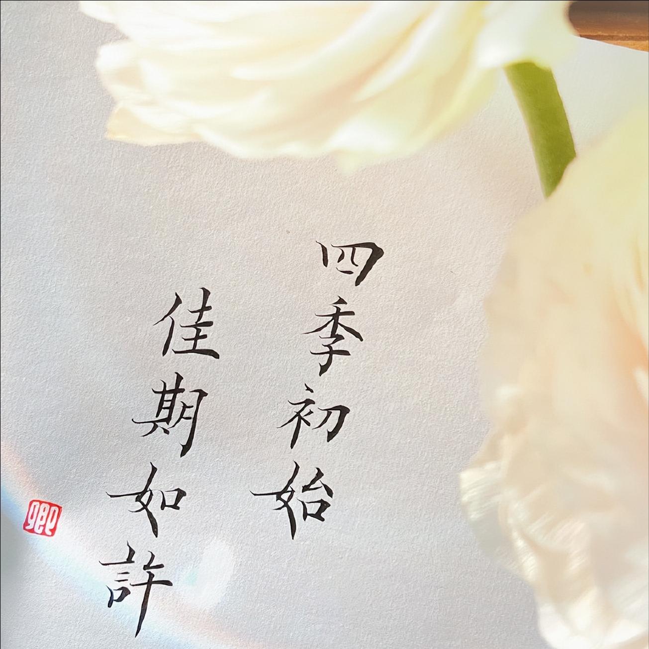 我将玫瑰藏于身后还你一生自由,我将玫瑰藏于身后带着遗憾远行