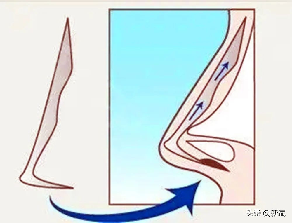 改一点赢很大？她整完鼻子直接美成断代神颜…